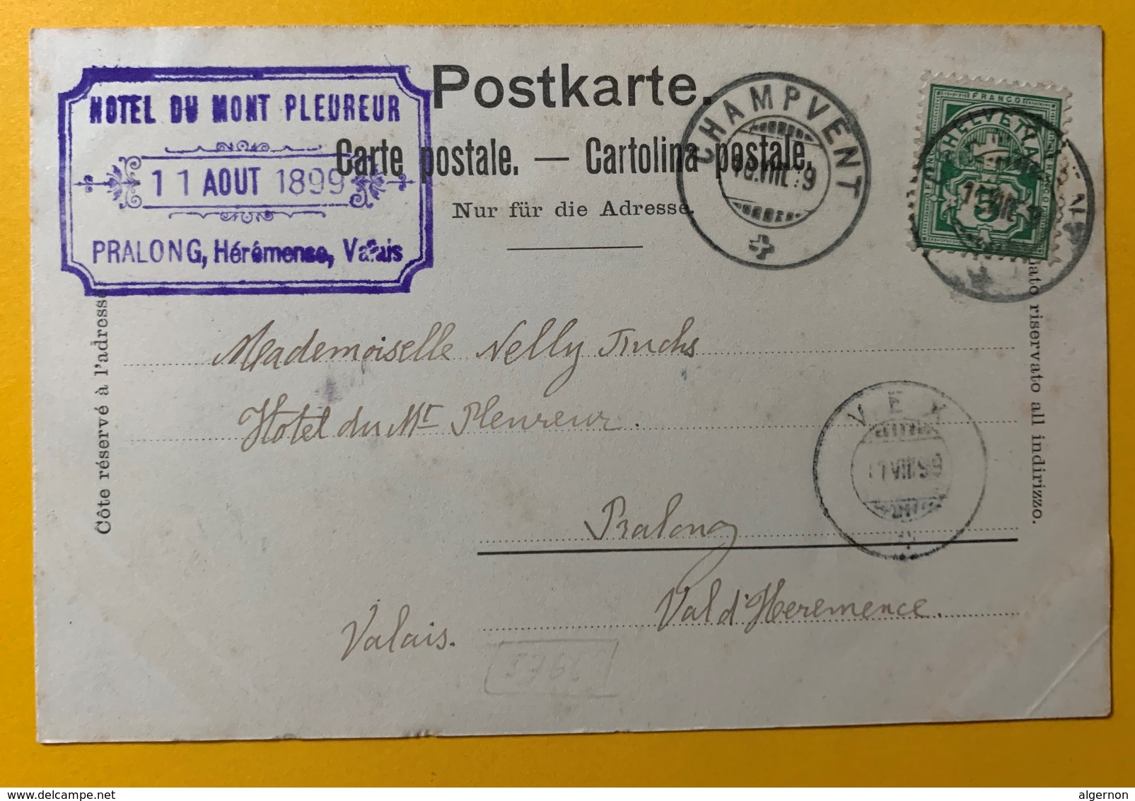 8798 -  Vuiteboeuf En 1899 Cachet Arrivée Vex Et Hôtel Du Mont Pleureur Hérémence - Vuitebœuf