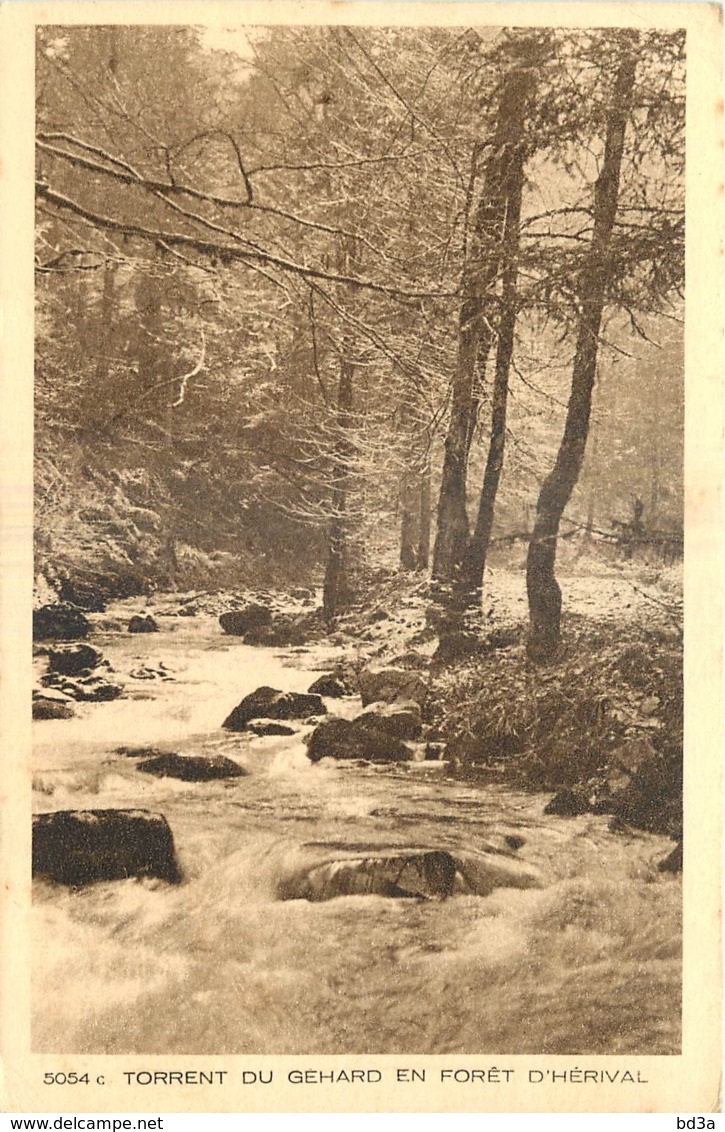 88 - TORRENT DU GEHARD EN FORET D'HERIVAL - Plombieres Les Bains