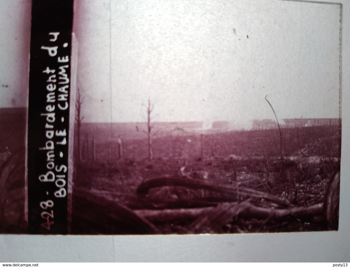 Guerre 1914-18 -  Bombardement Du Bois-le-Chaume -- Plaque De Verre StéréoscopiqueTBE - Plaques De Verre