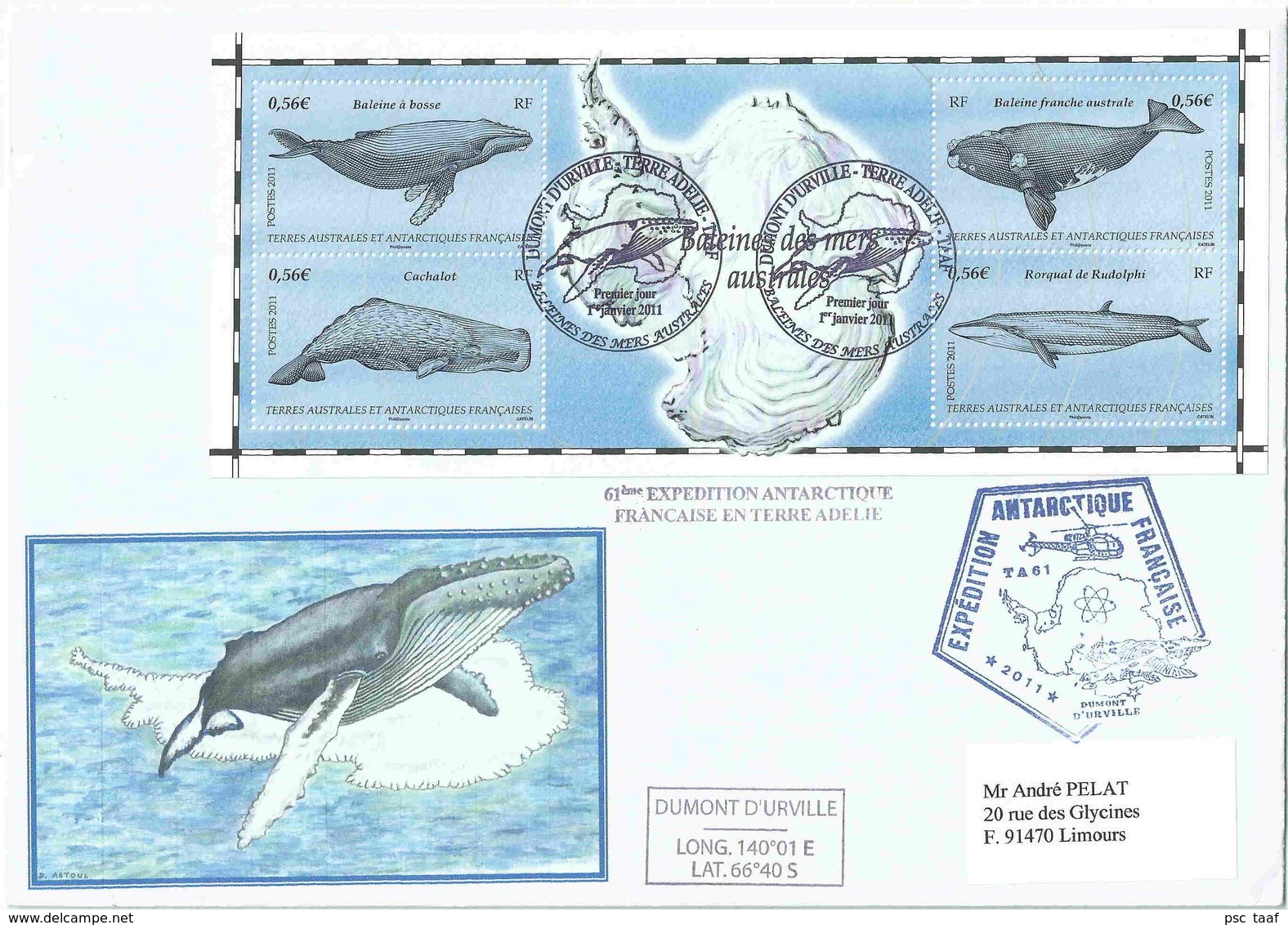 YT BF25 - Baleines - Cachalot - Rorqual - FDC - FDC