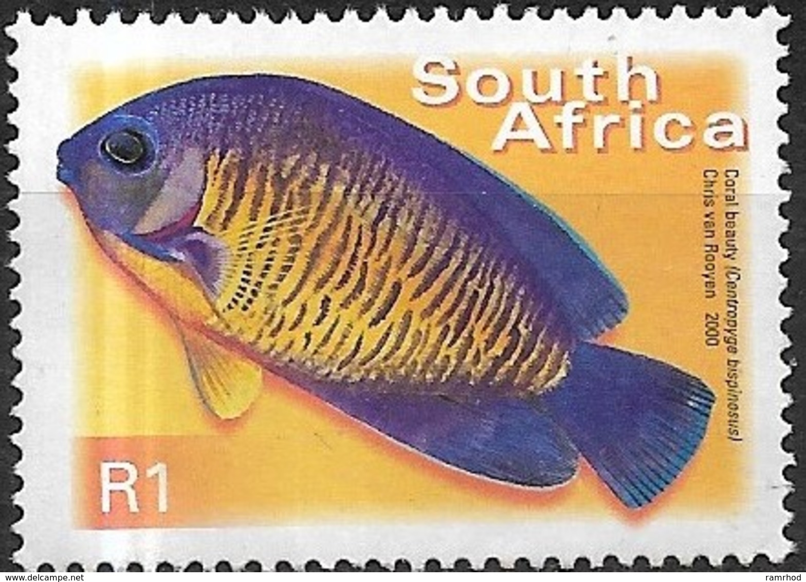 SOUTH AFRICA 2000 Flora And Fauna - 1r - Two-spined Angelfish (Coral Beauty) MNG - Ungebraucht