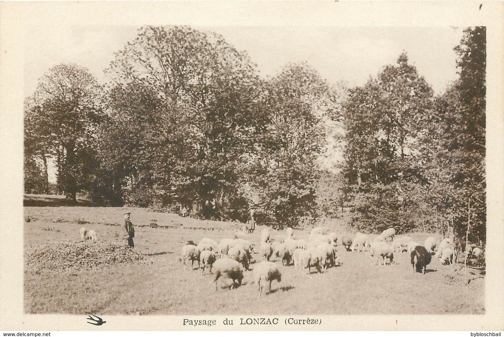 CPA 19 Corrèze Paysage Du Lonzac Berger Troupeau Moutons - Autres & Non Classés