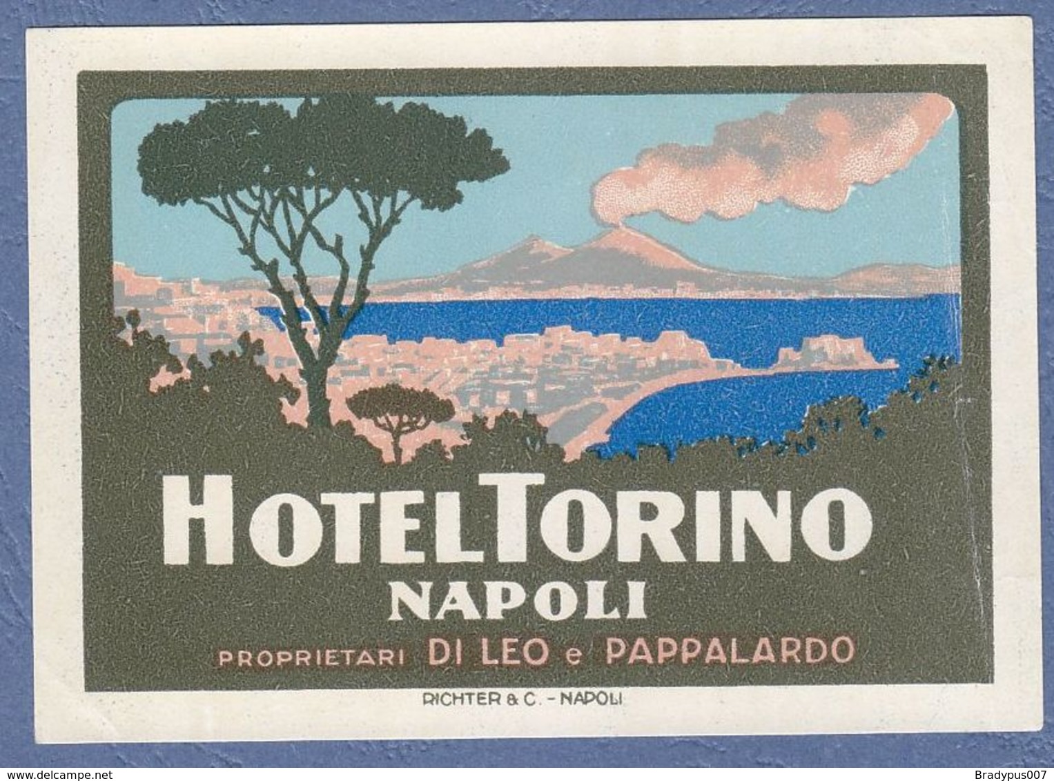 Hotel Torino Napoli Italy Italia- Vintage Original Hotel Label - Hotel Labels