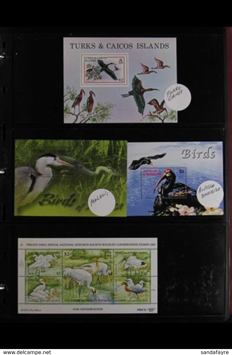 BIRDS MINIATURE SHEETS & SHEETLETS - 1960s-2008 FOUR VOLUMES - A HUGE QUANTITY Of Items From Across The World - A Truly  - Unclassified