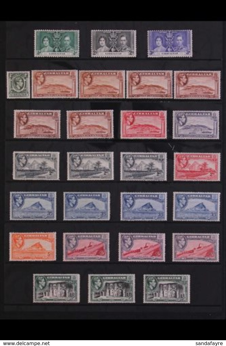 1937-51 EXTENSIVE MINT COLLECTION A Delightful COMPLETE "BASIC" COLLECTION (SG 118/143) With Most Additional Listed Perf - Gibraltar