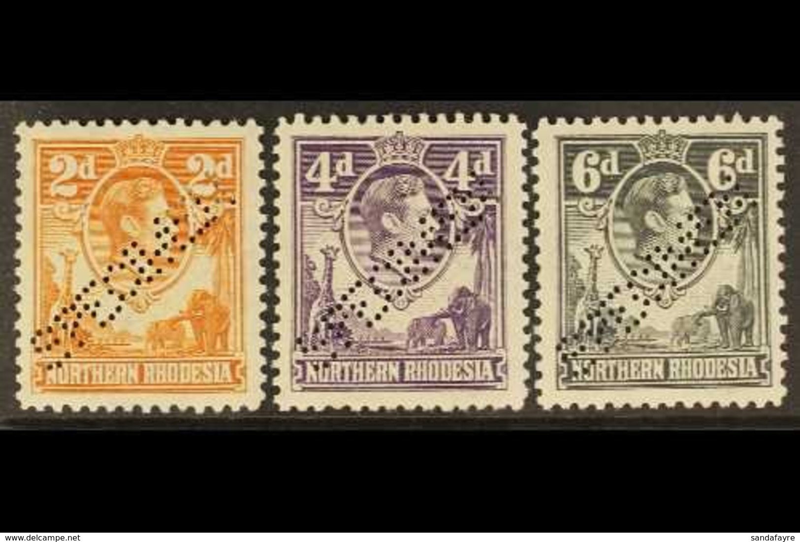 1938-52 KGVI SPECIMENS Presented On A Stock Card & Include 2d Yellow-brown, 4d Dull Violet & 6d Grey, Each Perfin "SPECI - Noord-Rhodesië (...-1963)