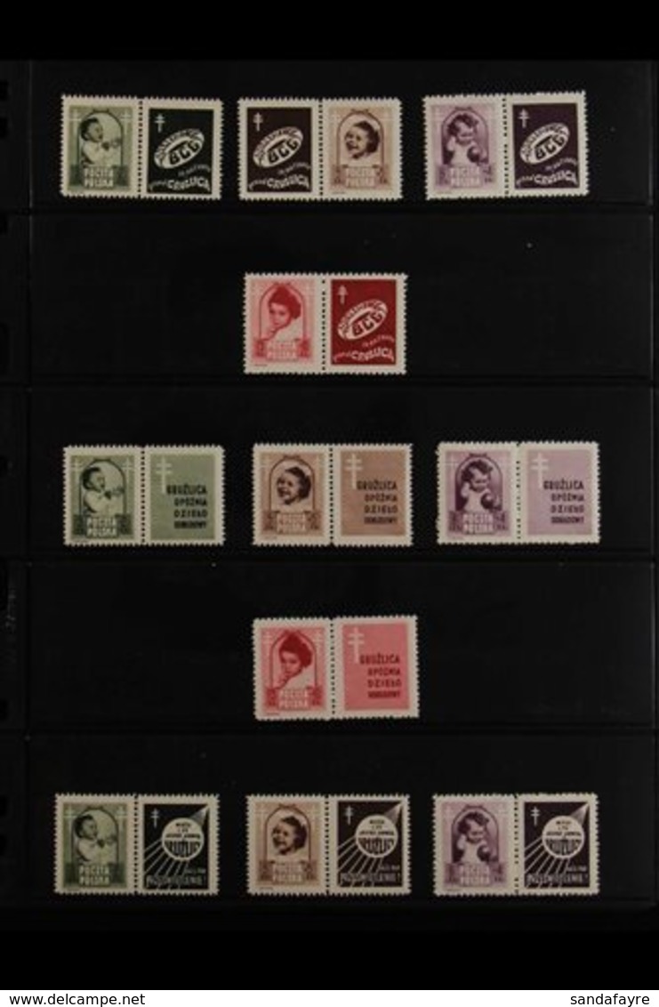 1948 Anti-Tuberculosis Fund All Ten Different Complete Sets Of Se-tenant Horiz Pairs With Various Labels (Michel 511/14  - Other & Unclassified