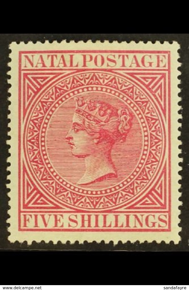 NATAL 1874 5s Rose, SG 72, Very Fine And Fresh Mint. For More Images, Please Visit Http://www.sandafayre.com/itemdetails - Unclassified