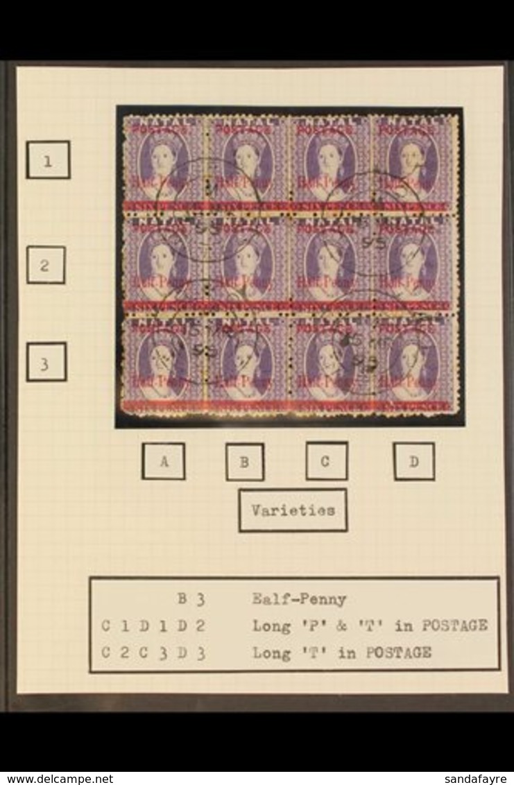 NATAL 1895 ½d On 6d Violet Surcharge, SG 114, Cds Used BLOCK Of 12 (4x3) Containing One "EALF-PENNY", Three Long "T" and - Unclassified