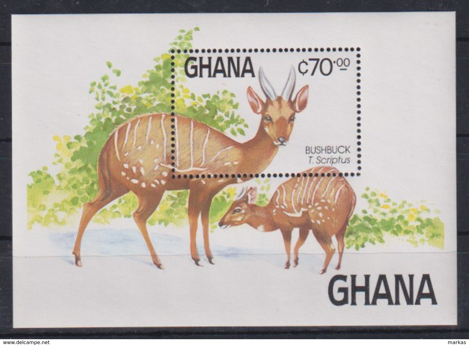 M664. Ghana - MNH - Animals - Other & Unclassified