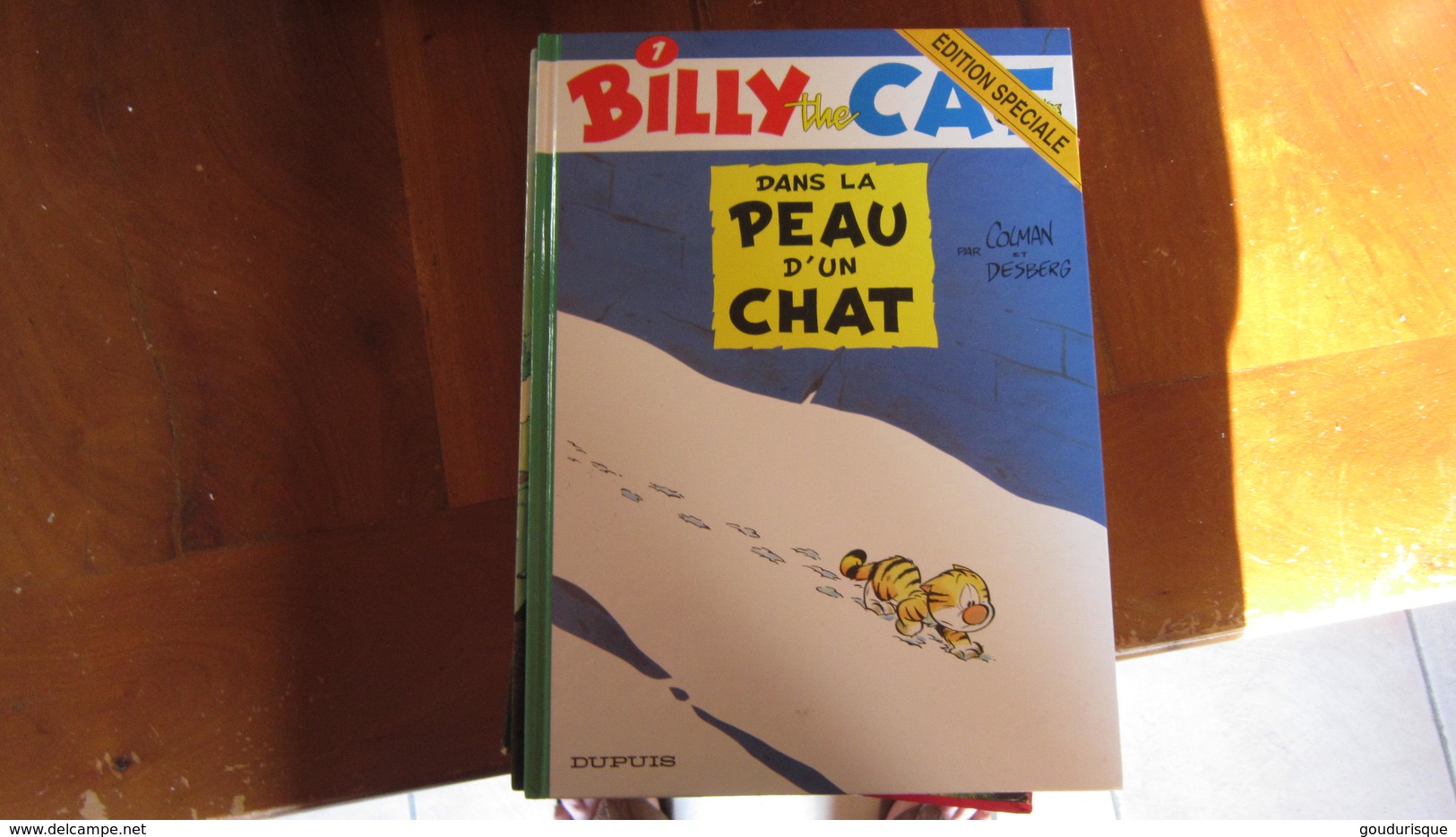 BILLY THE CAT T1 DANS LA PEAU D'UN CHAT   COLMAN  DESBERG - Billy The Cat