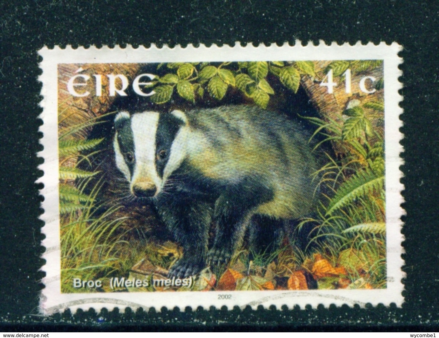 IRELAND  -  2002 Mammals 41c Used As Scan - Used Stamps