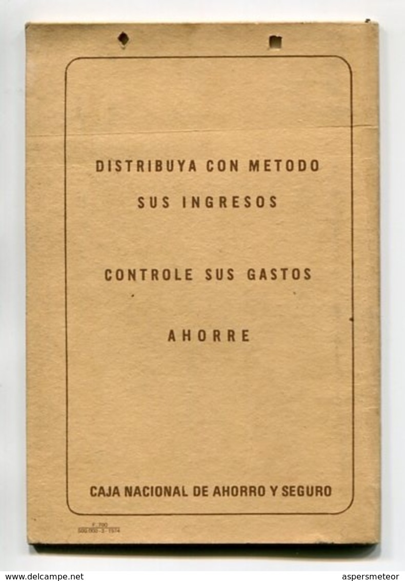 LIBRETA DE AHORRO - CAJA NACIONAL DE AHORRO POSTAL, ARGENTINA AÑO 1974, CON SELLOS FISCALES Y MATASELLOS - LILHU - Otros & Sin Clasificación