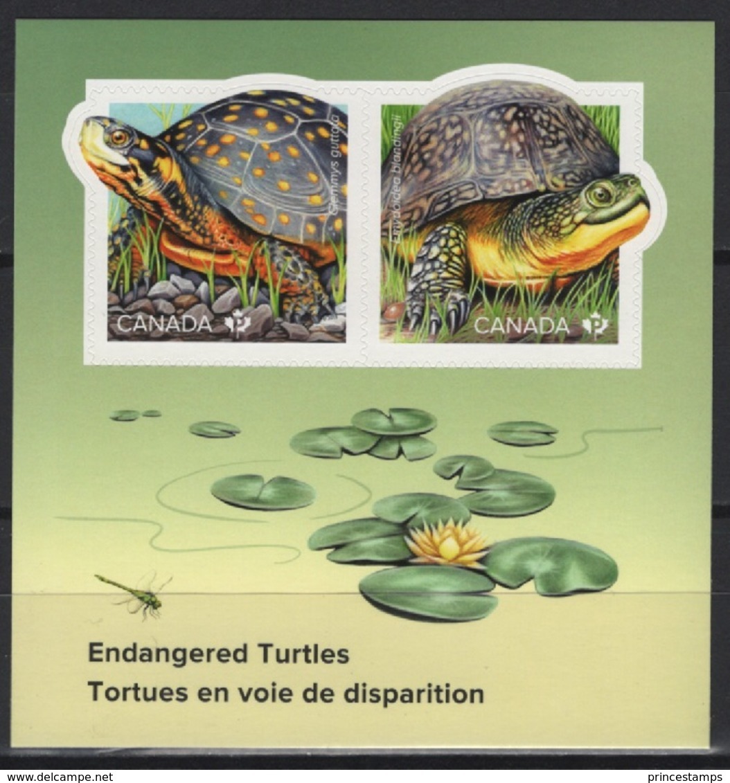 Canada (2019) - Block -  /  Tortues - Tortugas - Turtles - Turtles