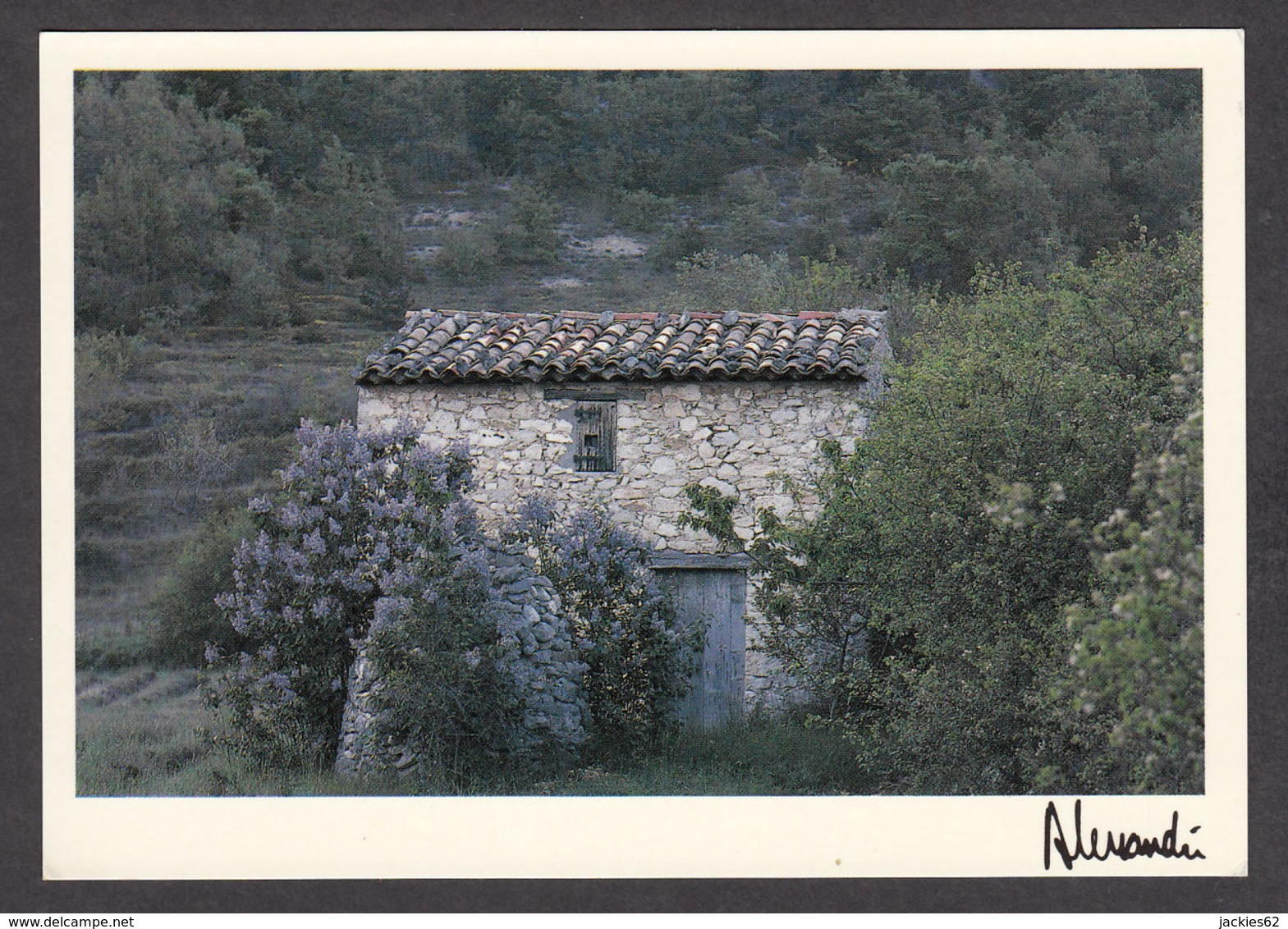 94142/ Photographe ALESSANDRI, *Provence, Le Cabanon Aux Lilas* - Autres & Non Classés