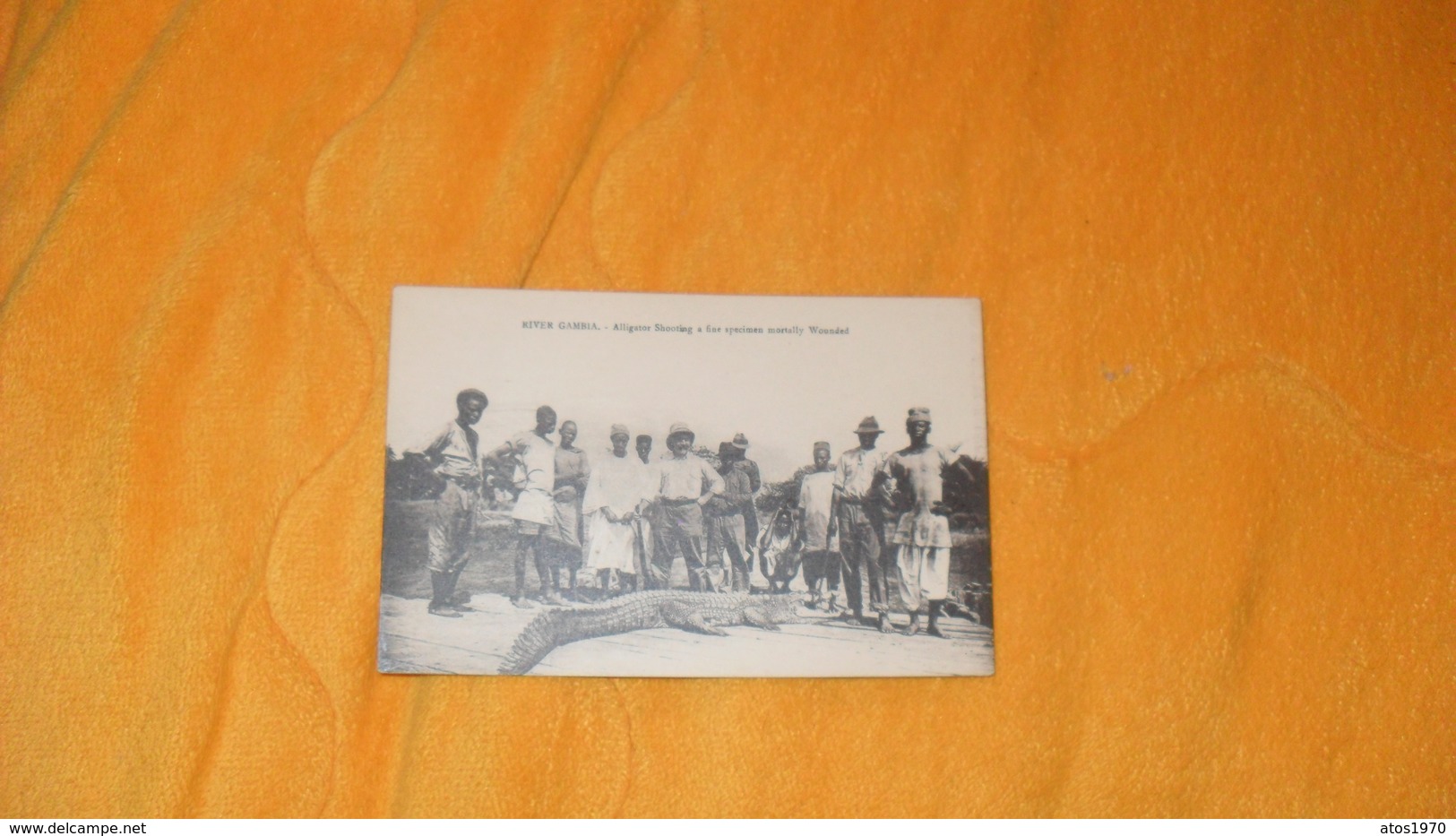 CARTE POSTALE ANCIENNE CIRCULEE DE 1928../ RIVER GAMBIA GAMBIE../ ALLIGATOR SHOOTING A FINE SPECIMEN MORTALLY WOUNDED.. - Gambie