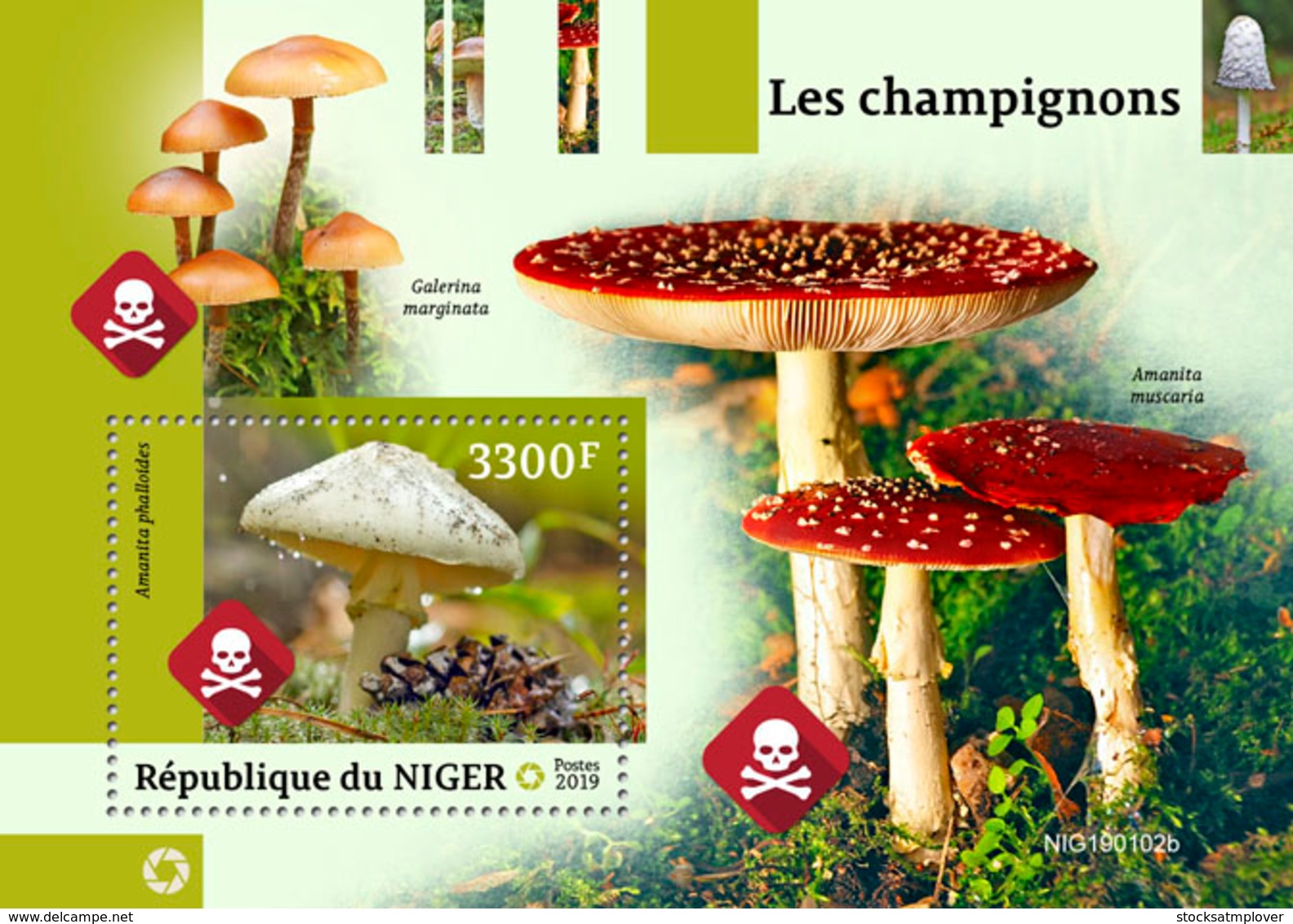 NIger  2019 Mushrooms  S201903 - Niger (1960-...)