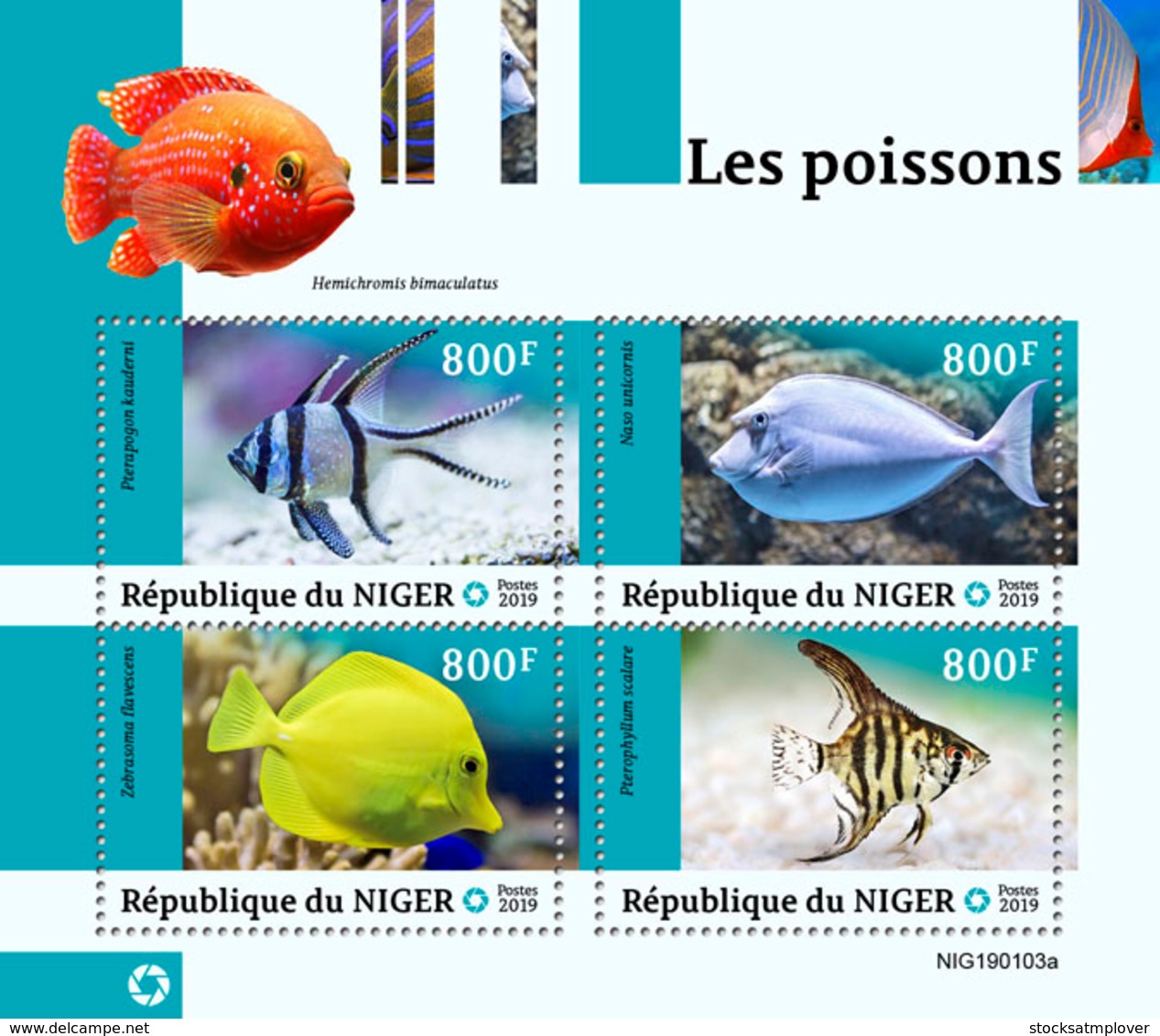 NIger   2019 Fauna  Fishes  S201903 - Niger (1960-...)