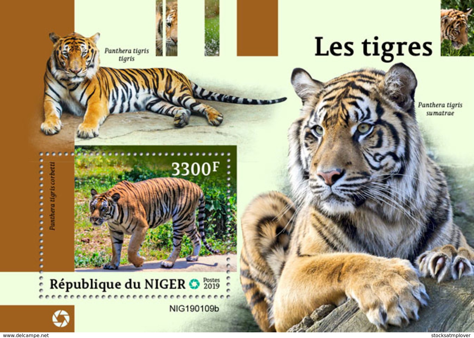 NIger  2019 Fauna  Tigers  S201903 - Niger (1960-...)