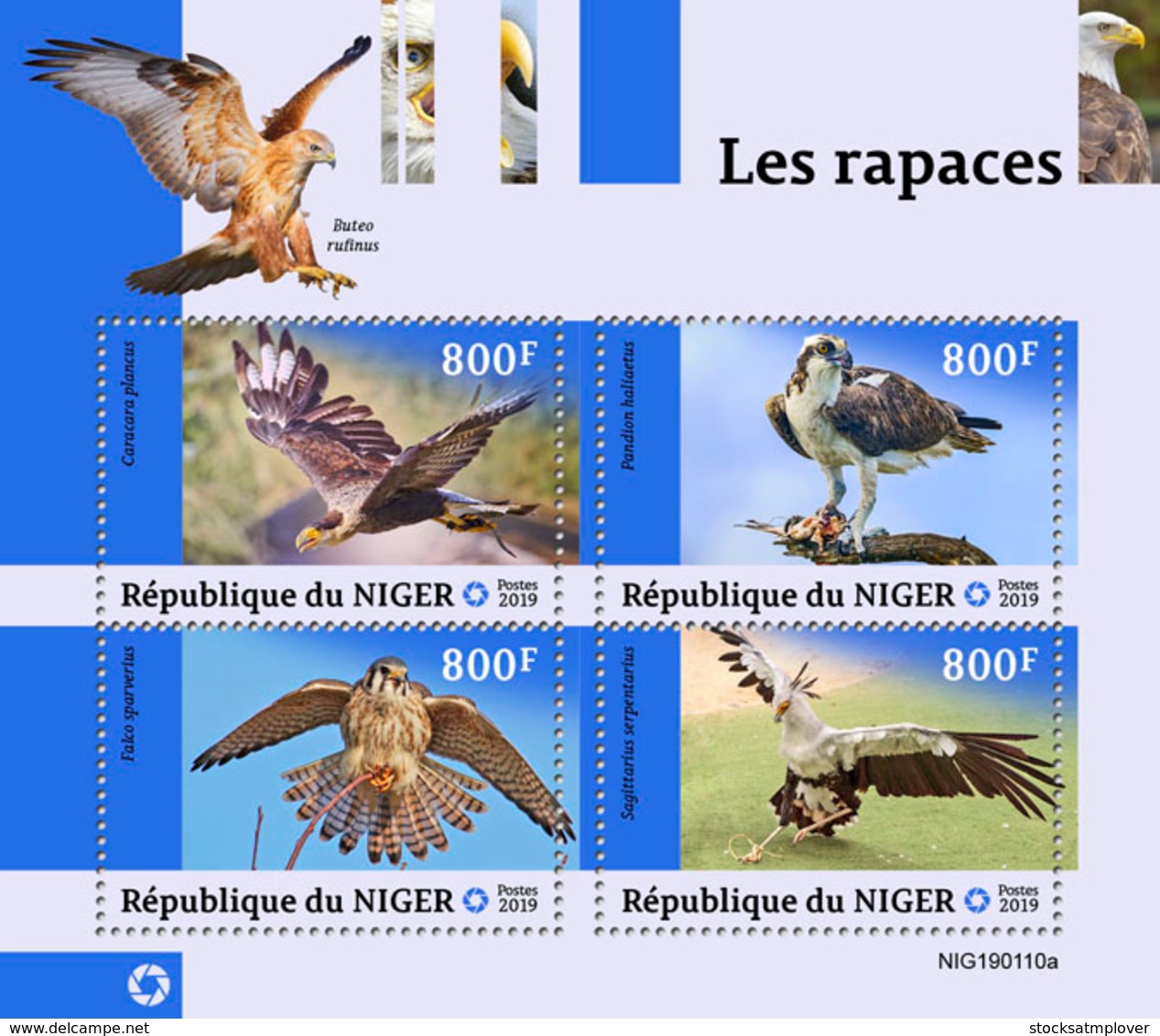 NIger   2019 Fauna   Birds Of Prey  S201903 - Niger (1960-...)