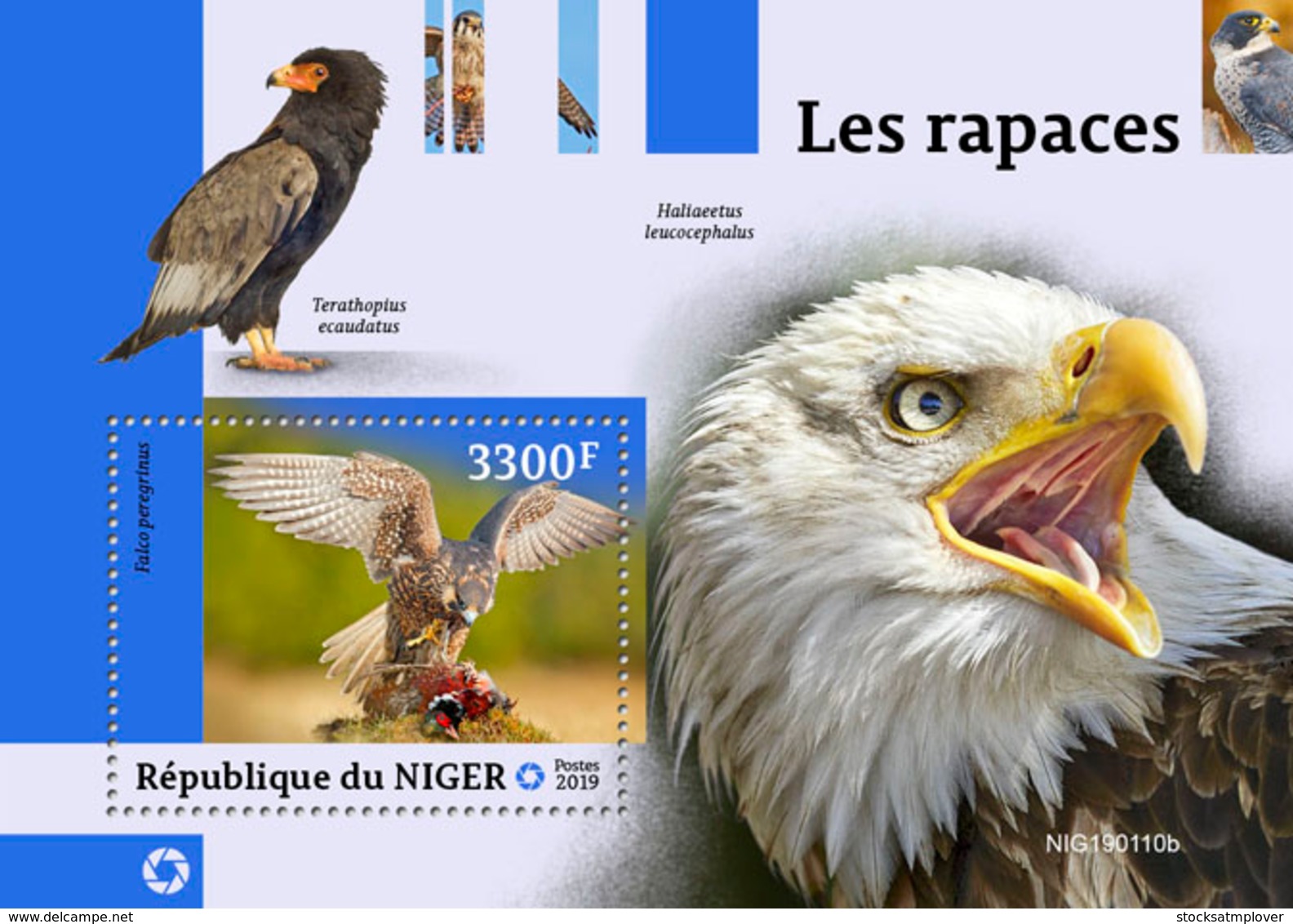 NIger   2019 Fauna   Birds Of Prey  S201903 - Niger (1960-...)