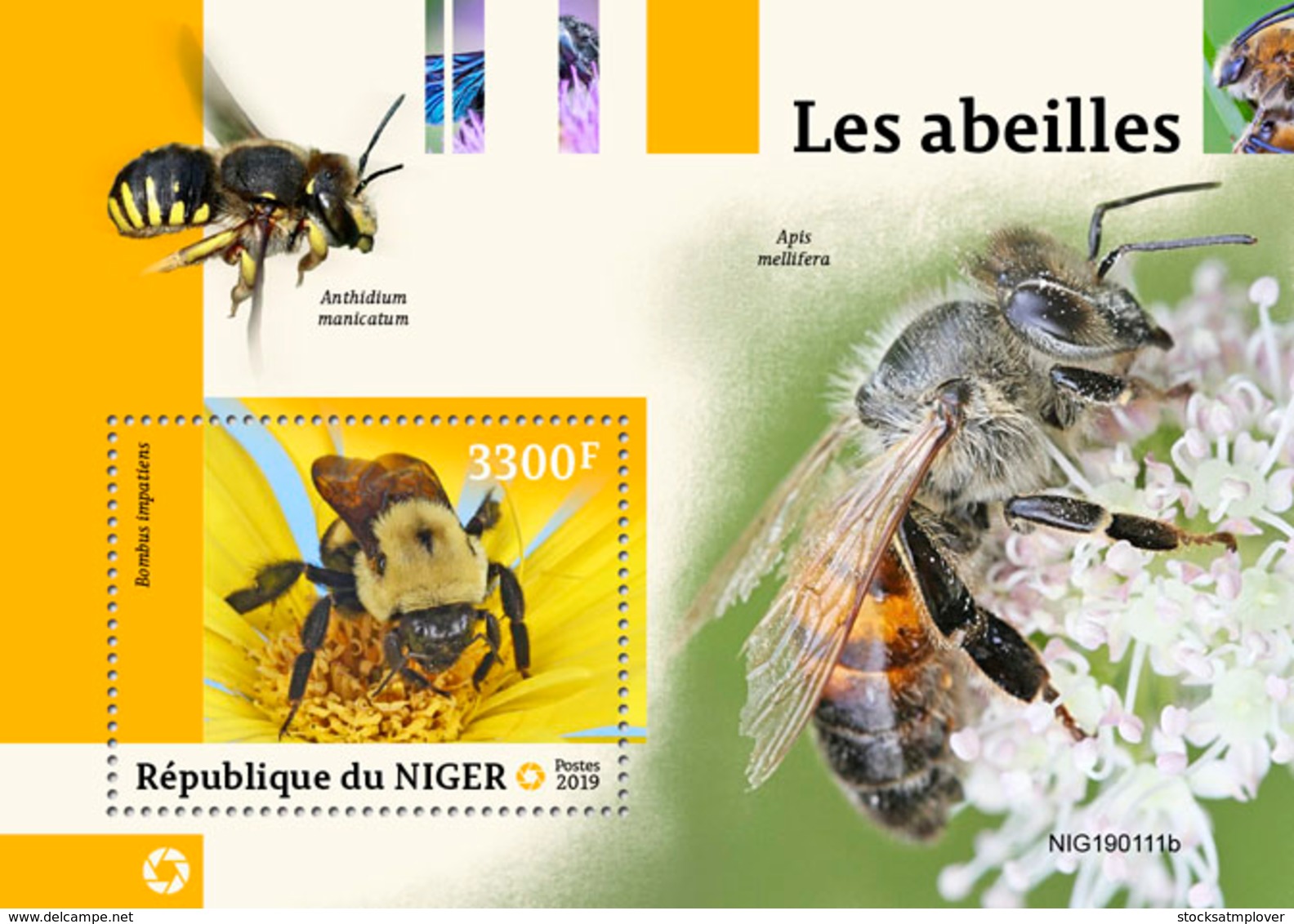 NIger   2019 Fauna  Bees   S201903 - Niger (1960-...)