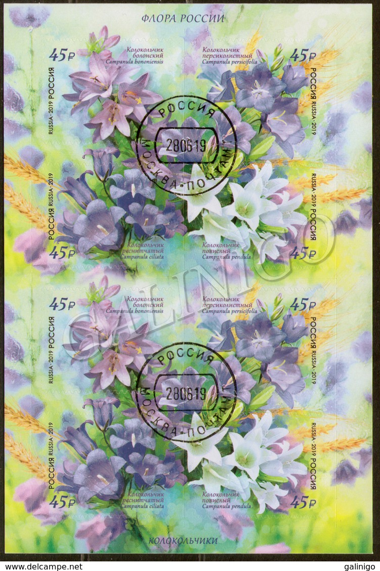 2019-2483-2486 M/S (2 Sets) Russia Flora Of Russia:FLOWERS: Bellflowers Mi 2707--2710 Used CTO - Used Stamps