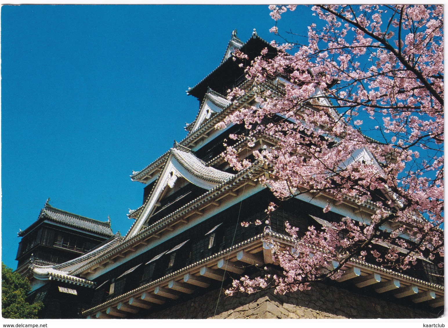 Kumamoto Castle In Spring - (Kyushu, Nippon/Japan) - Kyoto