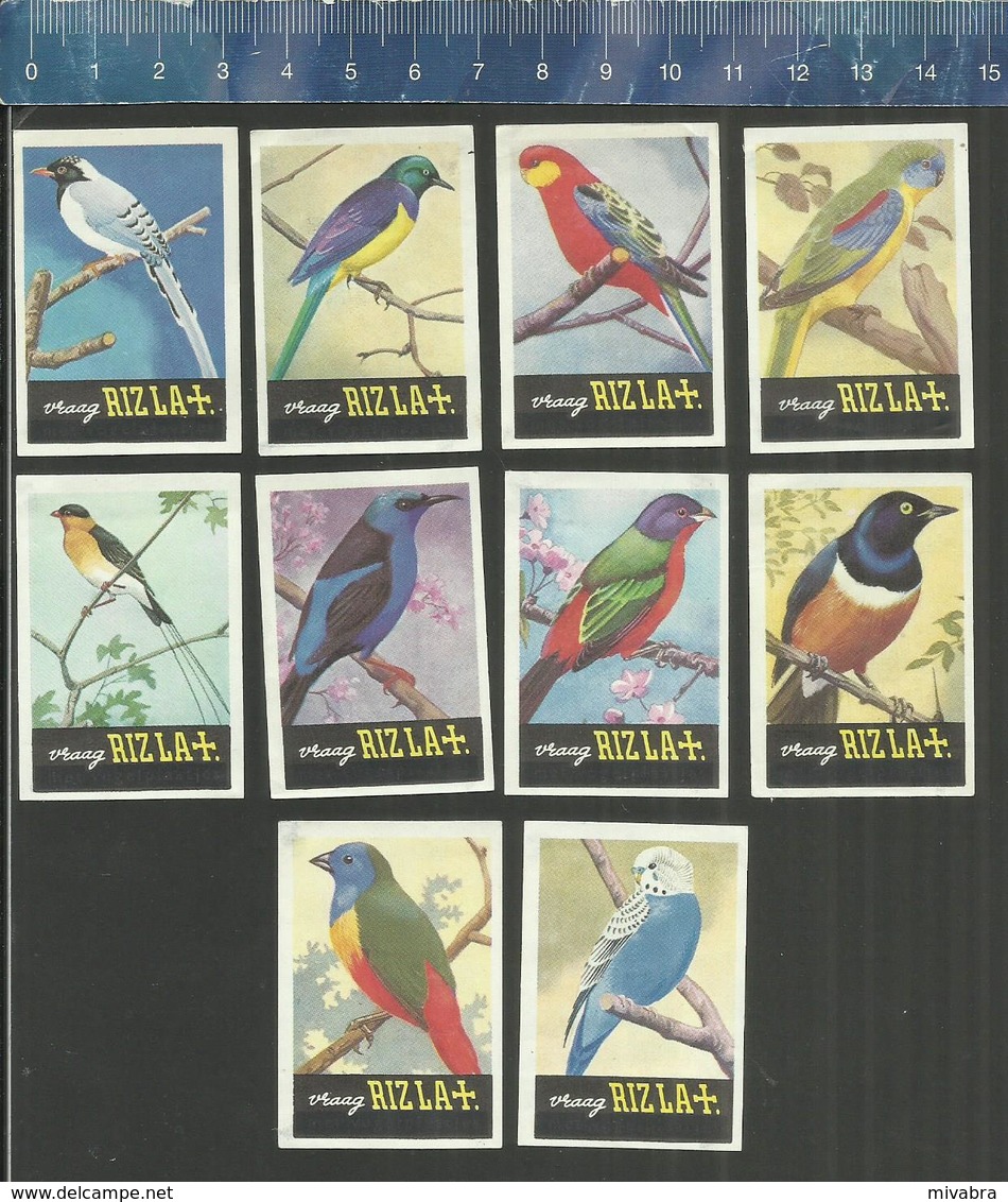 RIZLA  VOGELS OISEAUX BIRDS SERIE 7 Issued The Netherlands 1966 - Boites D'allumettes - Etiquettes