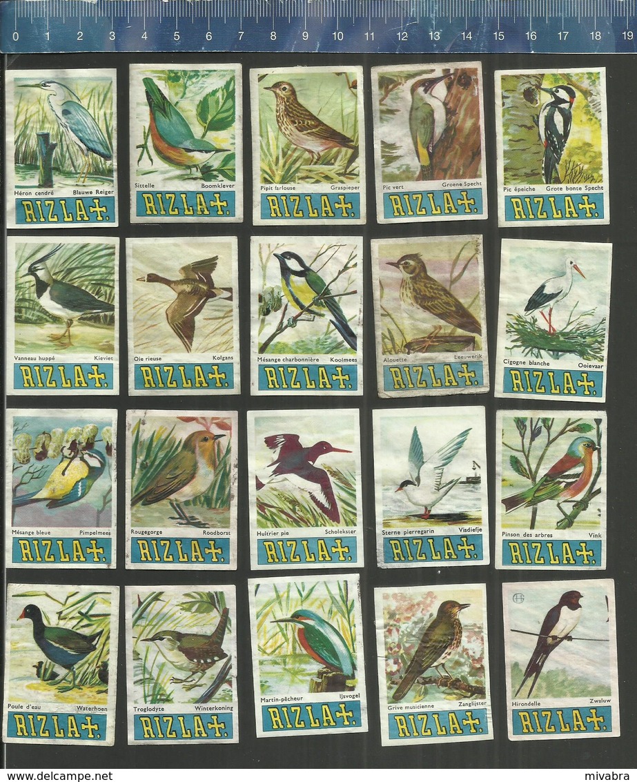 RIZLA VOGELS BIRDS OISEAUX  Issued In Belgium 1961 - Zündholzschachteletiketten