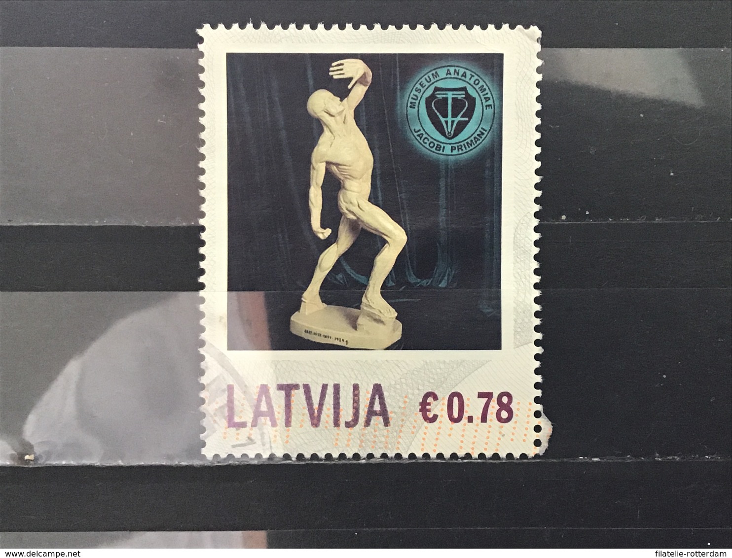 Letland / Latvia - Museum Van Anatomie (0.78) 2013 - Letland
