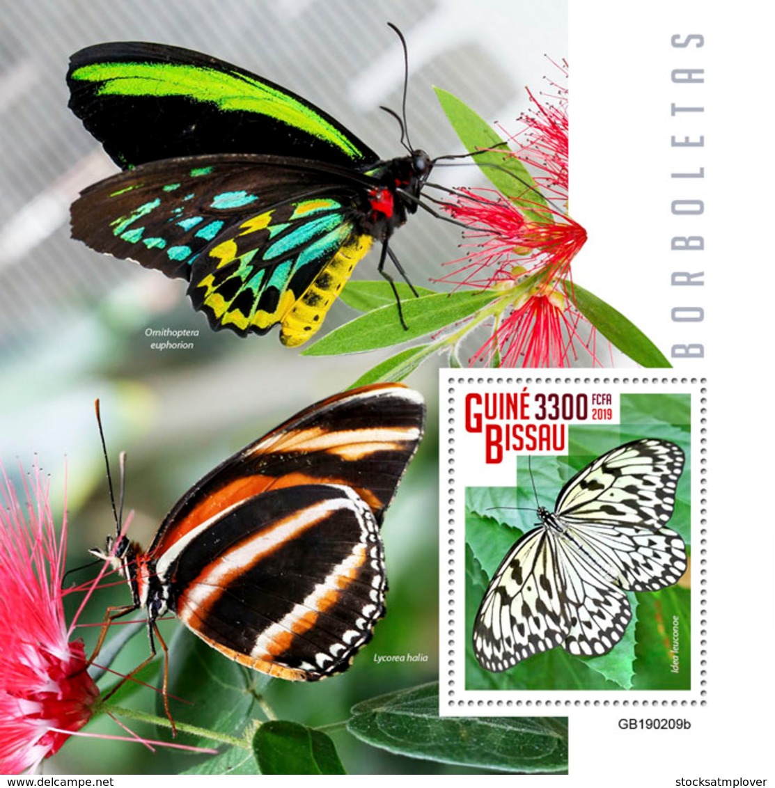Guinea Bissau   2019  Fauna Butterflies S201903 - Guinea-Bissau
