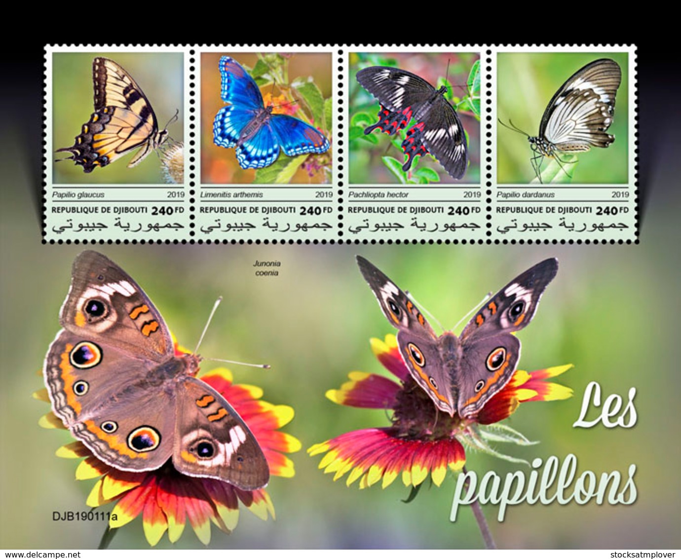 Djibouti 2019  Fauna Butterflies  S201903 - Djibouti (1977-...)