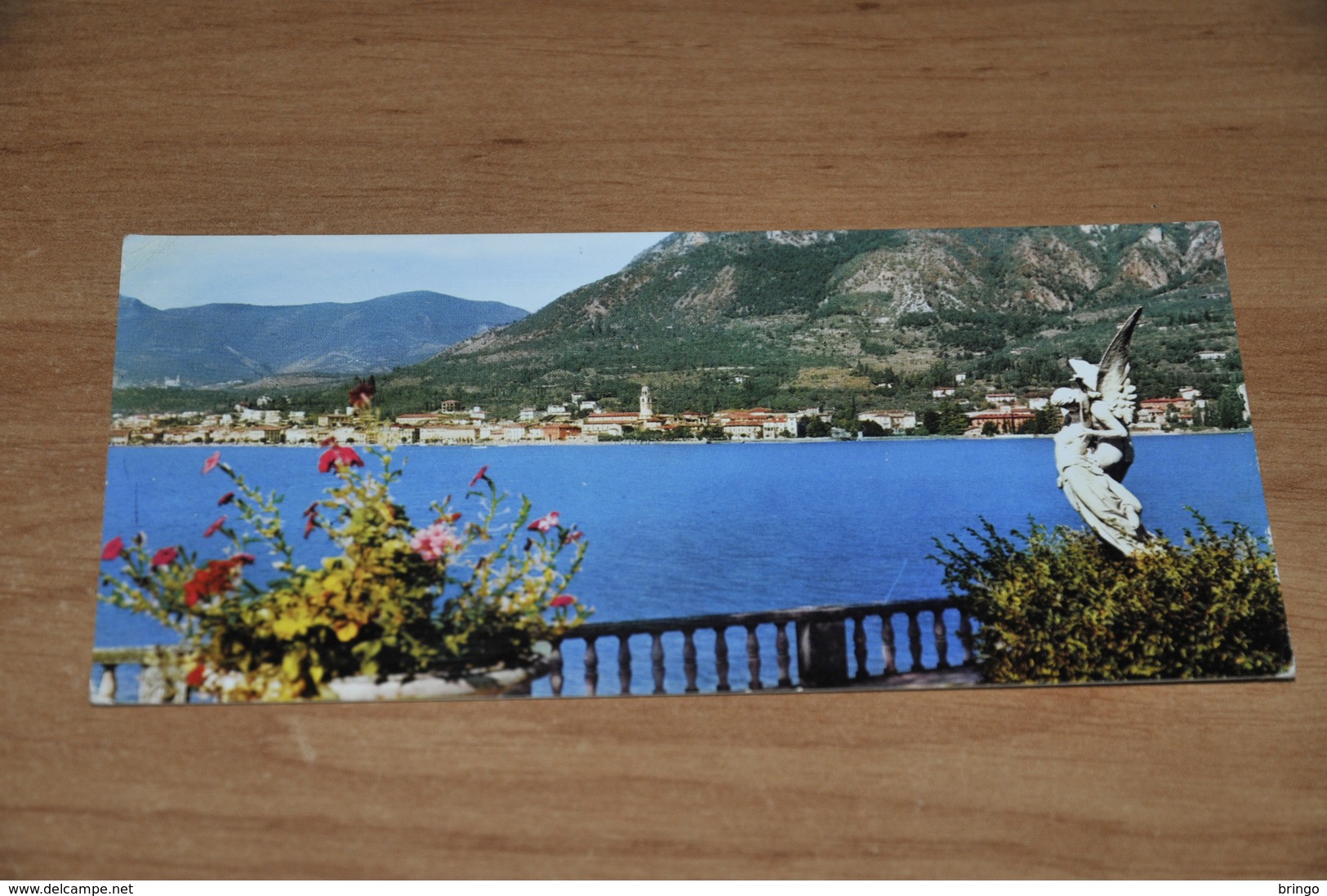 10864-      LAGO DI GARDA, SALO (CA. 7 X 15 CM.) - Brescia