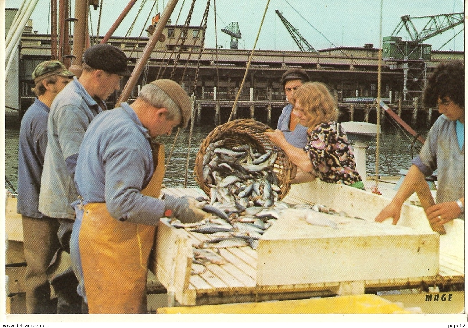 Boulogne Sur Mer-l' Arrivée Poisson-cpm - Boulogne Sur Mer