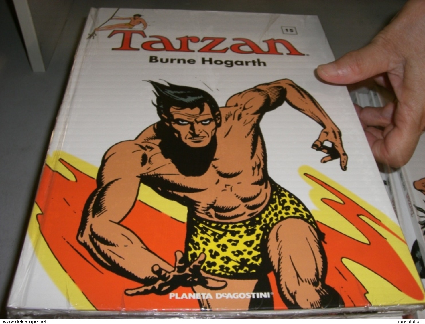 TARZAN SERIE COMPLETA DI 18 LIBRI -EDIZIONE PLANETA DE AGOSTINI - Altri & Non Classificati