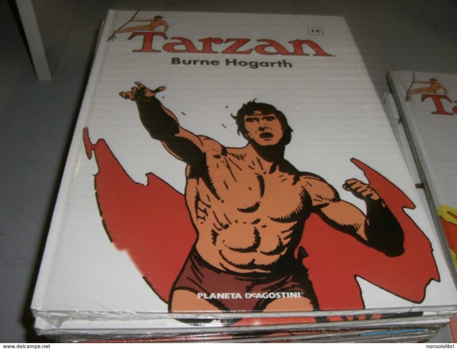 TARZAN SERIE COMPLETA DI 18 LIBRI -EDIZIONE PLANETA DE AGOSTINI - Altri & Non Classificati