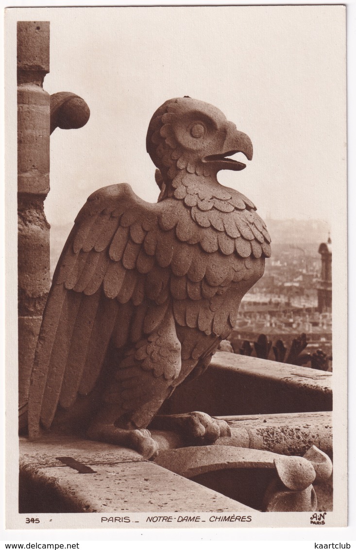 Paris - Notre-Dame - Chimères - Notre-Dame De Paris