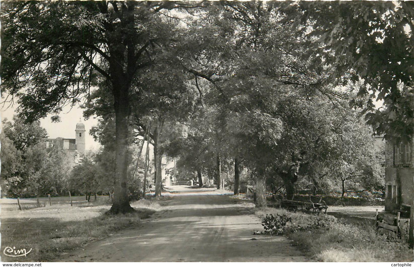 70 - GRANDVELLE - Entrée Du Village (cpsm Années 50) - Autres & Non Classés