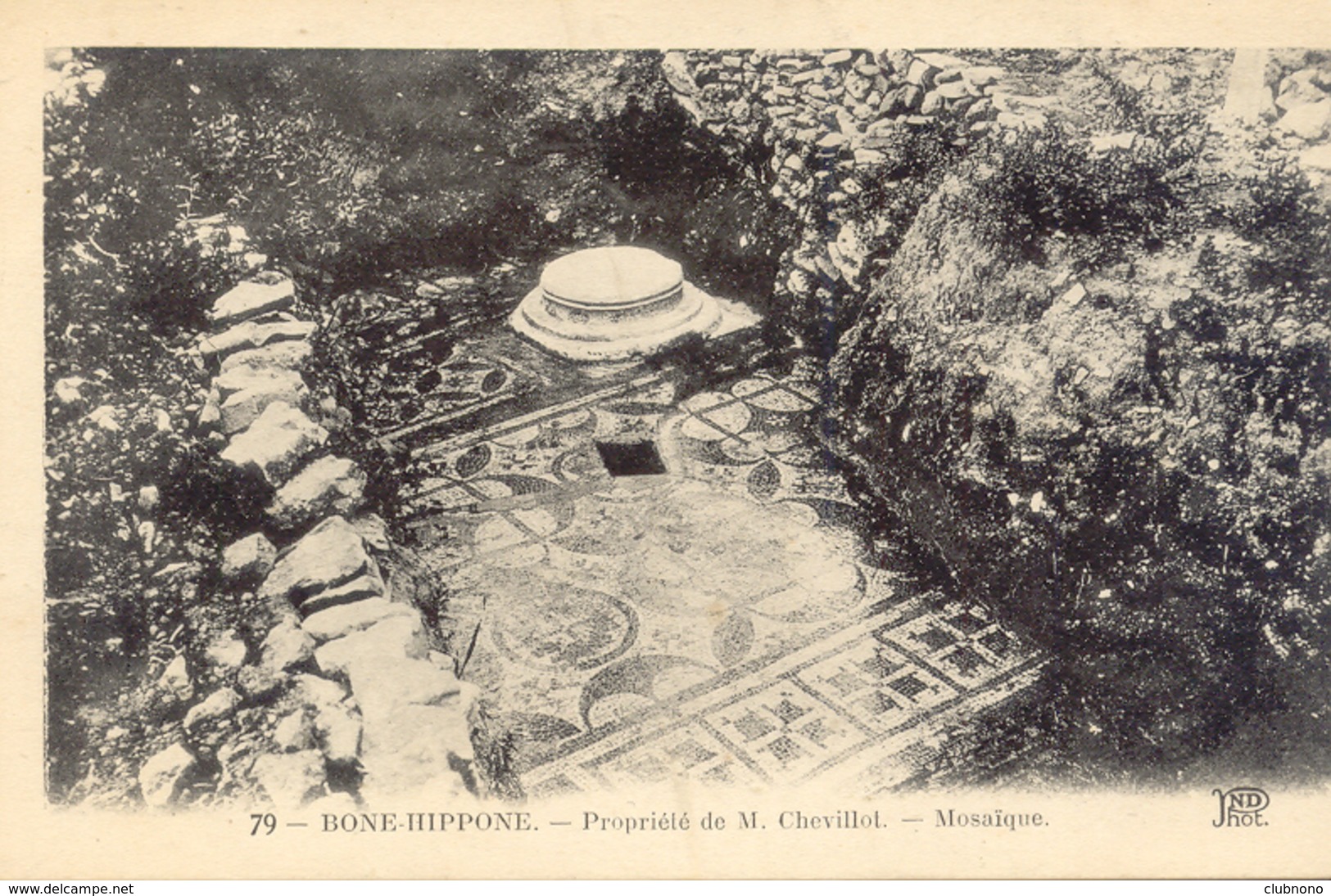 CPA - BONE-HIPPONE - MOSAIQUE (79) - Chlef (Orléansville)