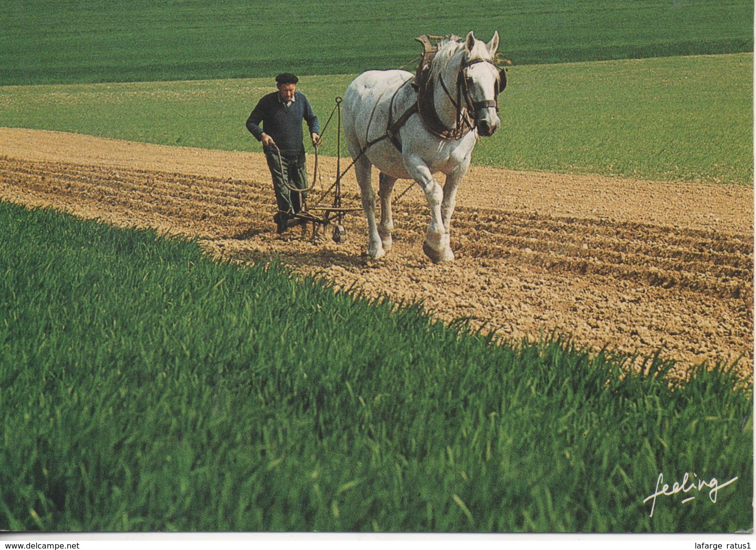 Attelage - Equipos