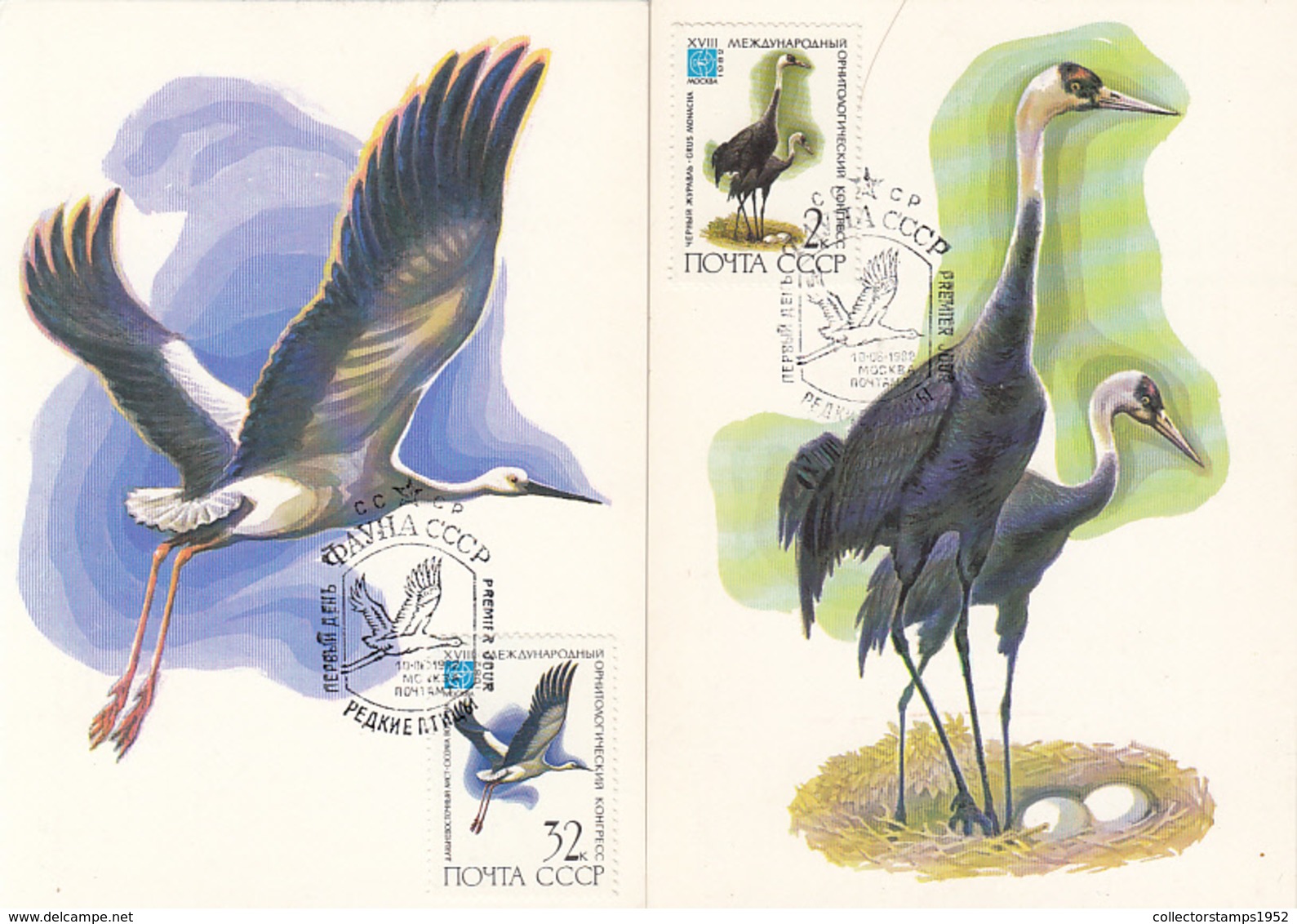 80177- ORIENTAL STORK, HOODED CRANE, BIRDS, MAXIMUM CARD, OBLIT FDC, 2X, 1982, RUSSIA - Cigognes & échassiers