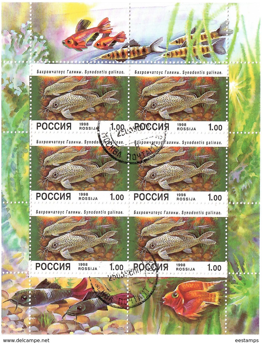 Russia.1998  Aquarium Fishes. Sheetlet Of 6 X1.00   (oo) - Oblitérés