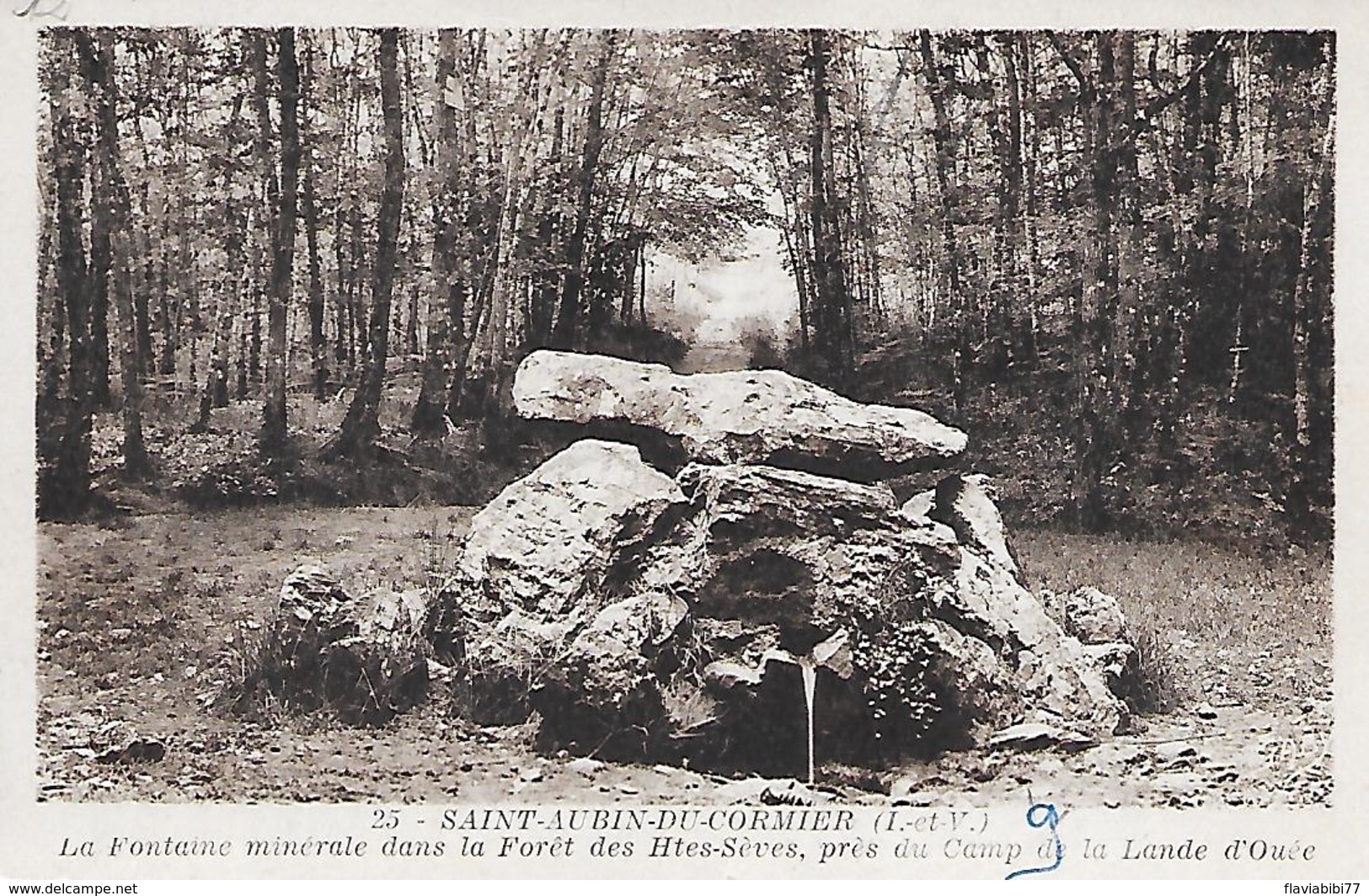 ST-AUBIN-DU-CORMIER - ( 35 ) - La Fontaine Minerale - Autres & Non Classés