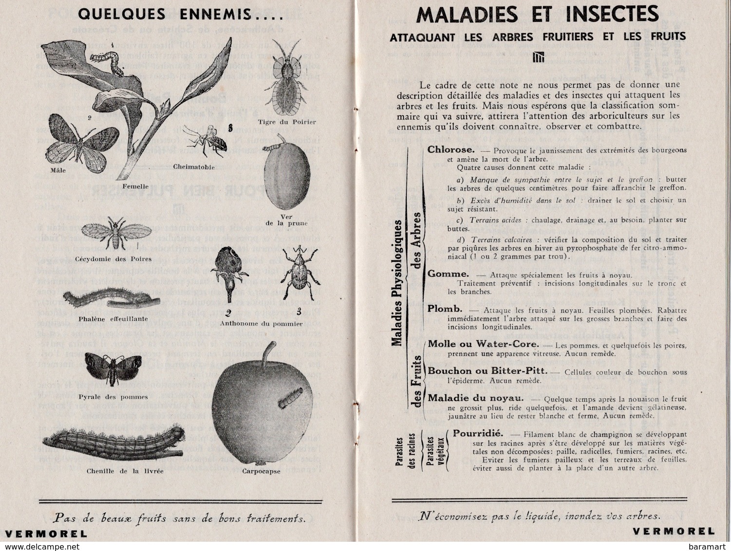 69 VILLEFRANCHE Ets VERMOREL Catalogue Pulverisateurs  16 Pages Avec Les Parasites Et Les Formules Pour Traiter - Advertising