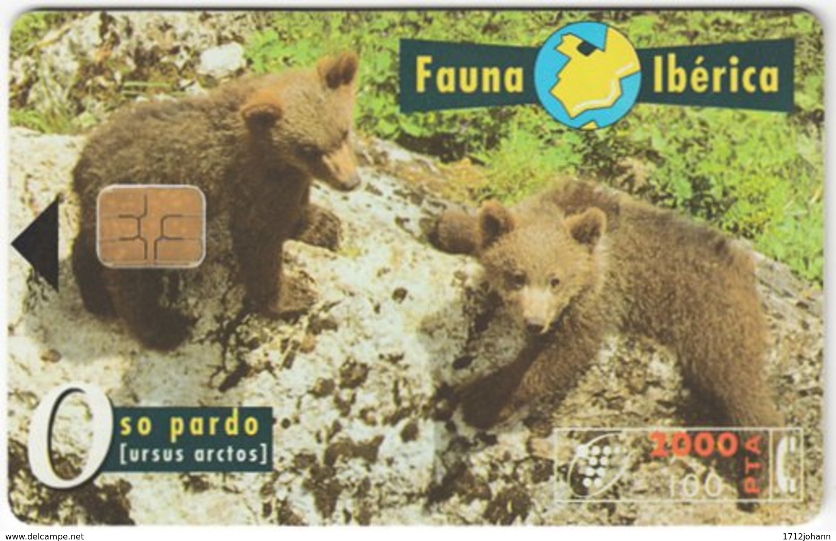 SPAIN B-497 Chip Telefonica - Animal, Bear - Used - Autres & Non Classés