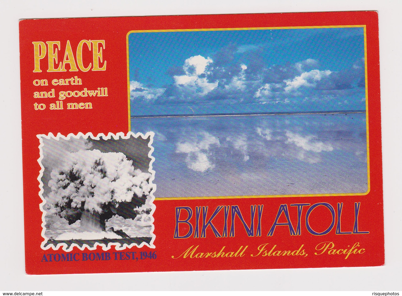 #49868 MARSHALL ISLANDS RPPc 1990s W/Nice BIRD Stamp Airmail Sent To Germany - Marshalleilanden