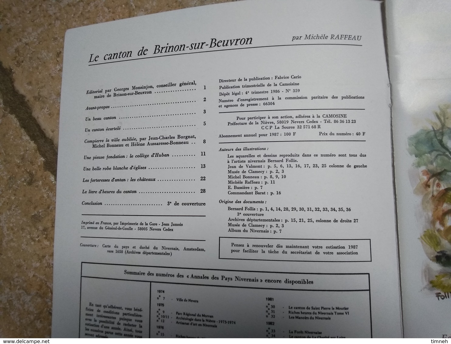 LE CANTON DE BRINON SUR BEUVRON -  Les Annales Du Pays Nivernais 1988 - CAMOSINE N°51 - - Bourgogne