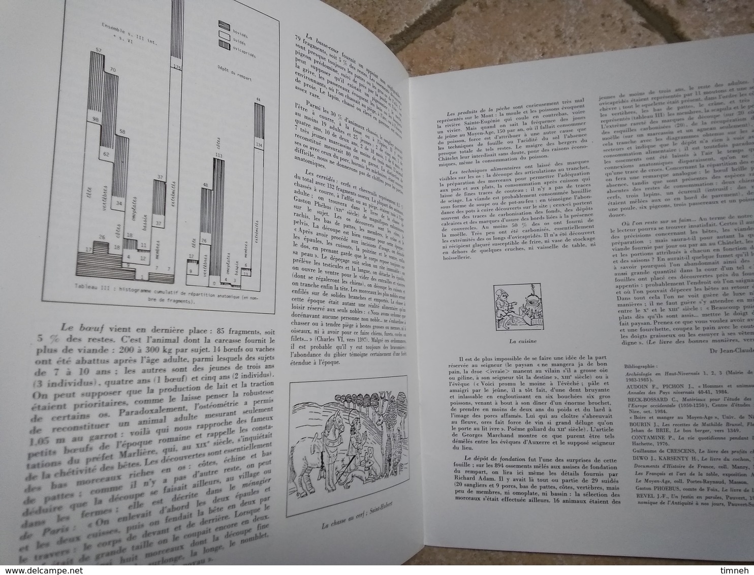 LE MONT CHATELET DE VARZY ARCHEOLOGIE -  Les Annales Du Pays Nivernais 1986 - CAMOSINE N°50 - - Bourgogne