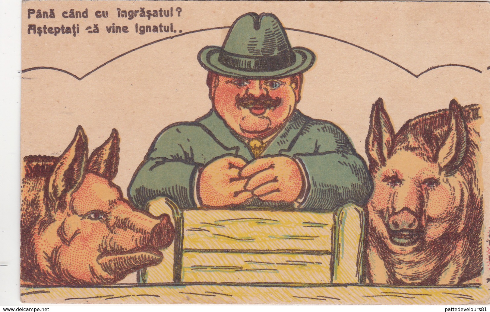 CPA Roumaine Romania Paysan Engraissement Animal Cochon Porc Pig Illustrateur  (2 Scans) - Maiali